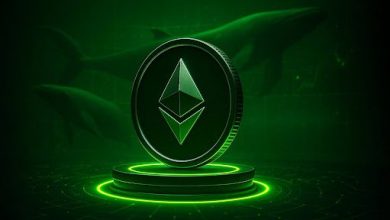 crypto-whales-buy-$100-million-in-xrp-in-one-day,-why-are-they-so-bullish-on-this-contender?