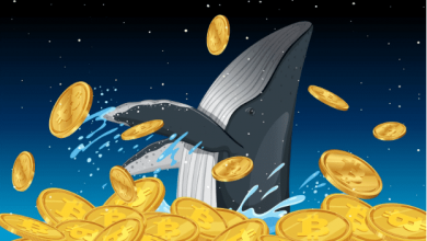 whale-accumulation-soars:-12-alt-coins-and-presale-cryptocurrency-set-to-explode-before-2026
